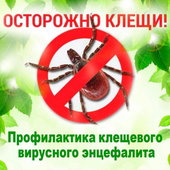 О Всероссийской горячей линии по профилактике клещевого энцефалита и инфекций, передающихся клещами.